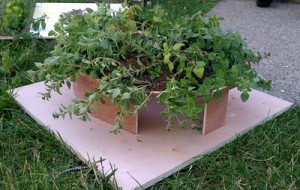 Mira Burack and Kate Daughdrill, Model for Edible Hut, 2011. &Acirc;&copy; Mira Burack and Kate Daughdrill