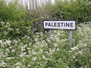 Palestine © Jodi | Flickr