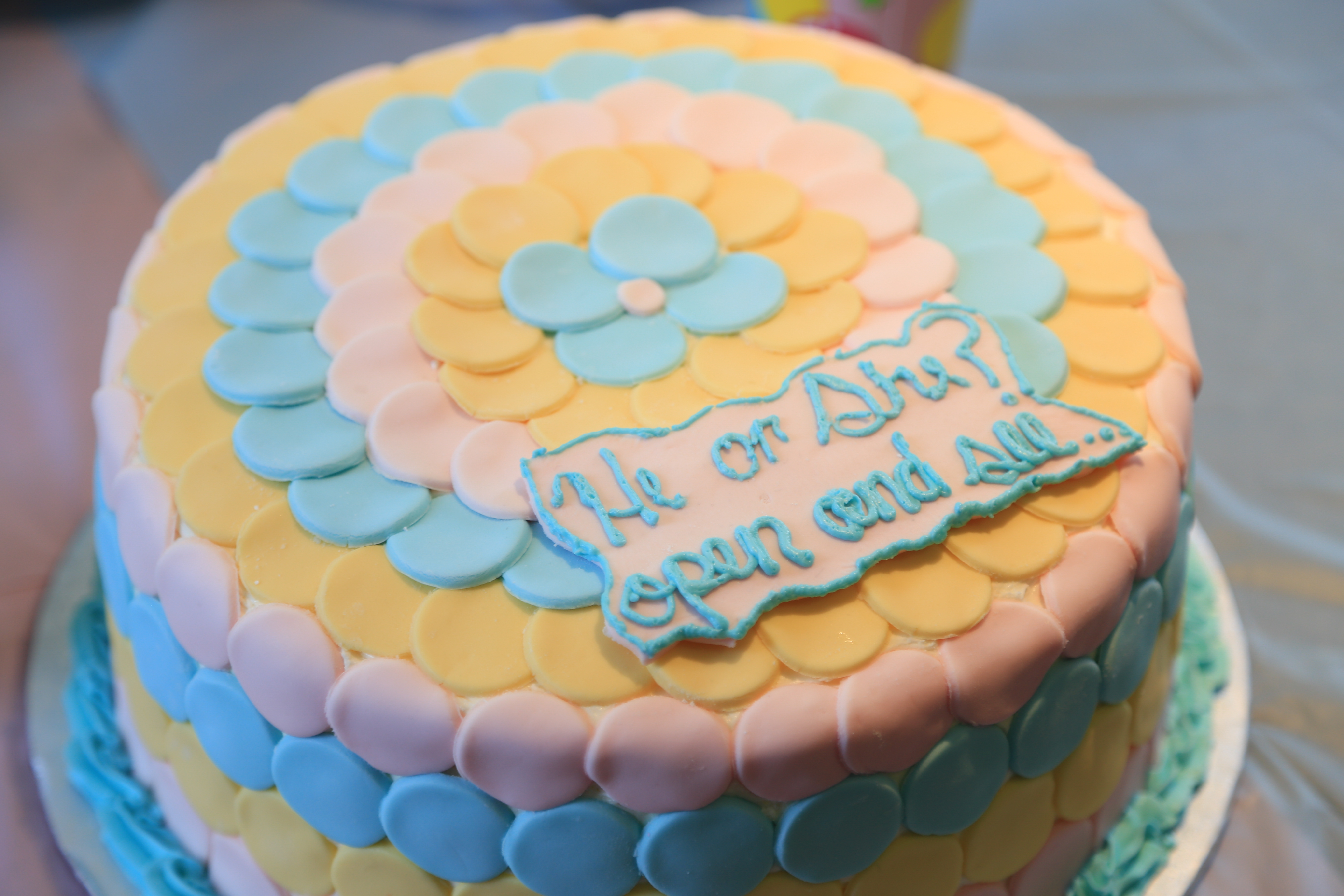 gender reveal party fail